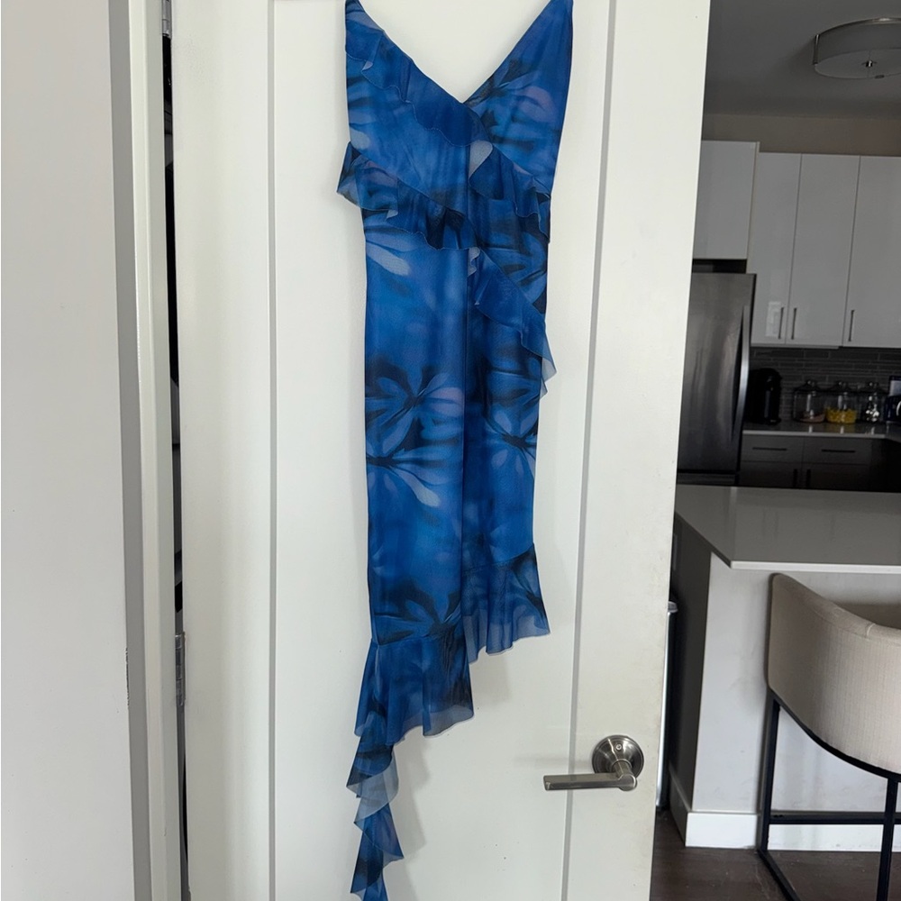 Hello Molly Blue Floral Dress